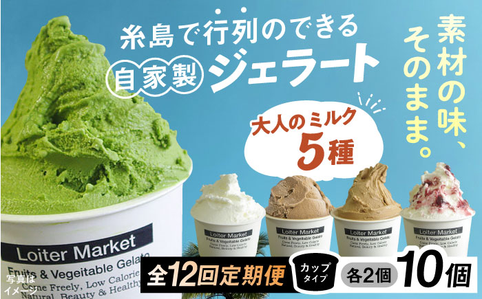 【全12回定期便】糸島で行列のできる アイスクリーム 屋 ジェラート カップ 10個 セット！ 大人の味 5種類 × 各2個 ( ミルク , 抹茶 , ほうじ茶 , カフェオレ , ブルーベリーヨーグルト ) 糸島市 / LoiterMarket ロイターマーケット アイスクリーム アイス クリーム [AGD022]