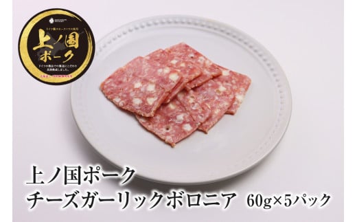 北海道上ノ国町 上ノ国ポークチーズガーリックボロニアハム（60g×5パック）