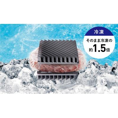 ふるさと納税 八尾市 OMRIQ PLATE(オムリック プレート) (B279)