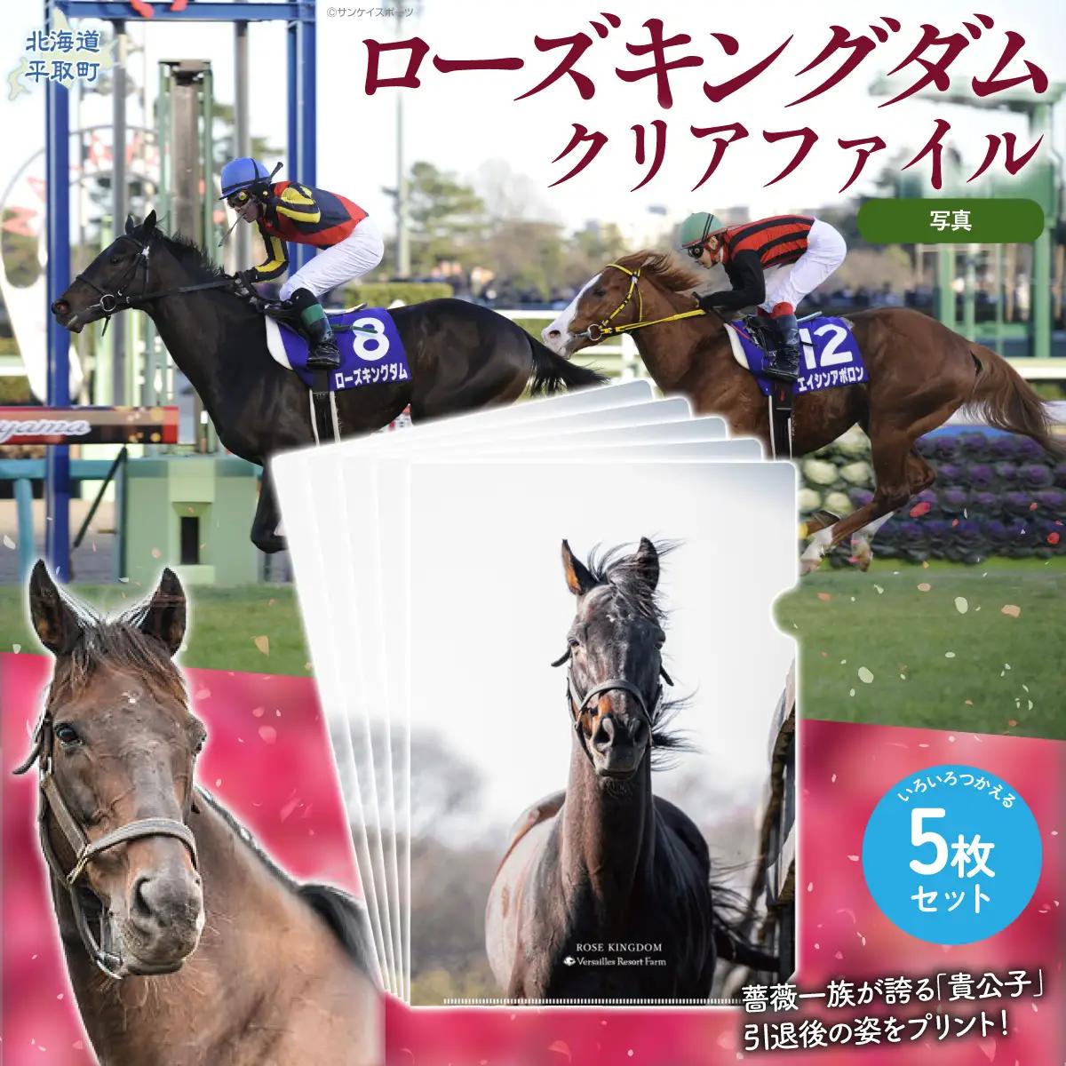 【ローズキングダム】クリアファイル 写真5枚入り BRTV255