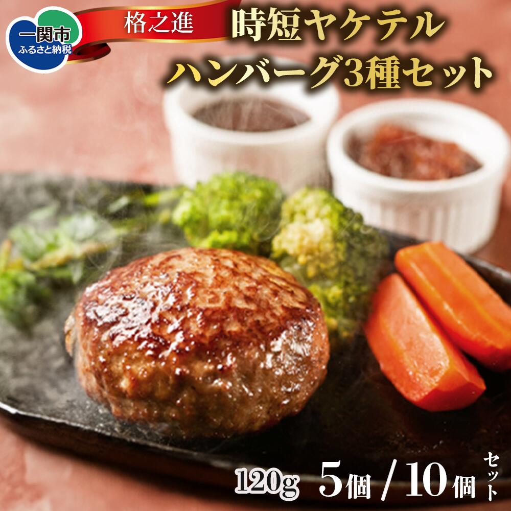 【ふるさと納税】 格之進 ヤケテル ハンバーグ 3種 食べ比べ セット 選べる 120g 合計 5個 / 10個 ふるさと納税 ハンバーグ 食べ比べ ふるさと納税 ハンバーグ 牛肉 豚肉 国産 冷凍 湯煎 個包装 小分け 便利 簡単調理 惣菜 おかず ギフト おすすめ 送料無料 岩手県 一関市