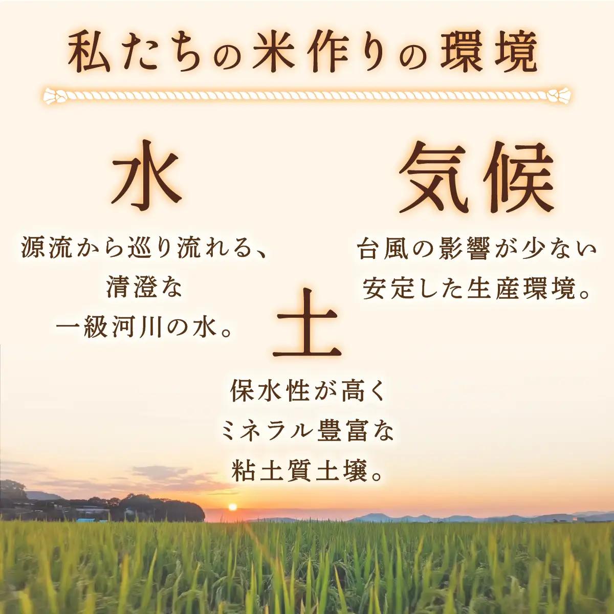 米 にじのきらめき 玄米 20kg 新米 令和8年産  先行予約 大容量 米農大脇