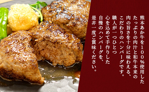 あか牛 100％ハンバーグ セット 120g×3個 ハンバーグ あか牛 牛肉 肉 熊本産 国産牛 和牛 旨味 うま味 ぎっしり 熊本県 多良木町 牛肉 お試し ハンバーグ 046-0750
