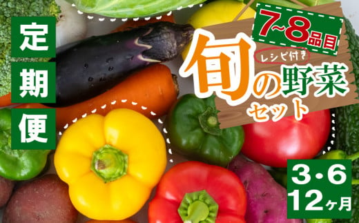 野菜定期便 7品~8品 6ヵ月 産地直送 朝採れ （ 7品 ～ 8品 野菜 セット 詰め合わせ 特産 季節 旬 新鮮 彩 ベジタブル 高知県 須崎市  ）NPO21000