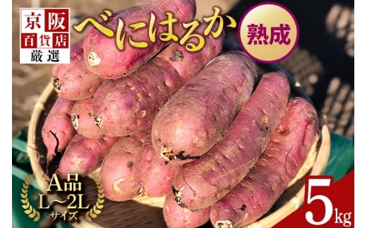 【京阪百貨店厳選】茨城県産べにはるか 5kg （熟成）[A品L～2Lサイズ] 芋 さつま芋 サツマイモ さつまいも B18-005