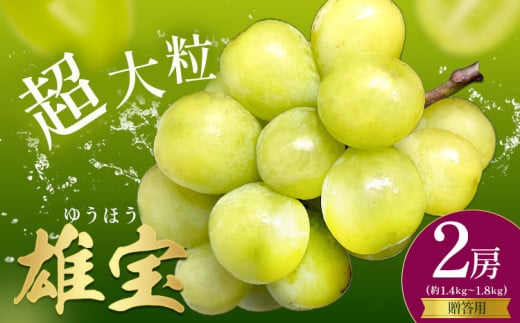ぶどう 贈答用 雄宝 2房 約1.4～1.8kg 葡萄 ブドウ ぶどう 大粒 種なし フルーツ 果物 産地直送 新鮮 お取り寄せ ギフト 国産 季節限定 茨城県 結城市《8月下旬-9月下旬頃出荷》 會澤ぶどう・キウイフルーツ園 【配送不可地域あり】(離島)