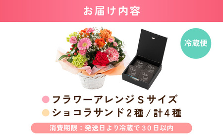 母の日限定！ カーネーション入り フラワーアレンジメントS ＆ ショコラサンド ギフトセット カラフル [B-20707_03]