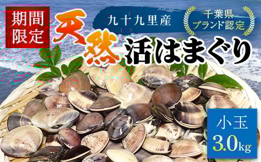 ＜先行受付/2026年5月より配送＞【千葉県ブランド認定】天然活はまぐり（小玉）《3㎏》ギフトBOX付き／ふるさと納税 はまぐり ハマグリ 蛤 貝類 魚介 海鮮 お吸い物 パスタ パエリア お歳暮 贈答 お祝い 千葉県 山武市 SMBO004