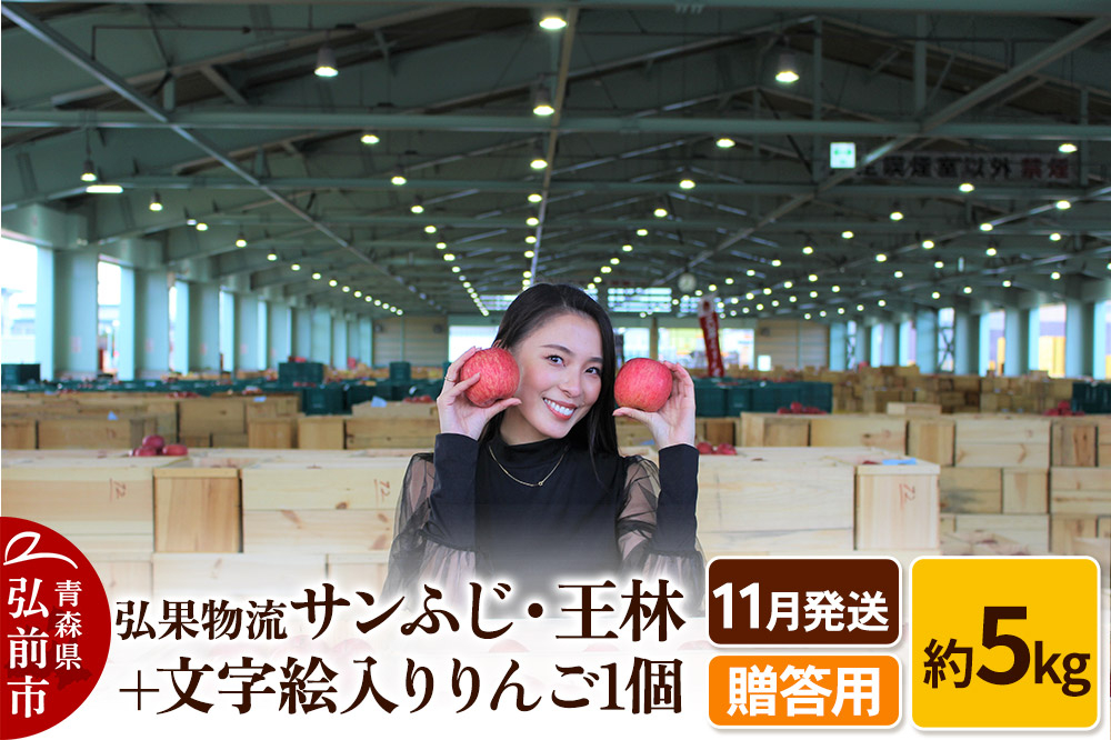 
            【25年11月発送】りんご 贈答用 サンふじ・王林＋文字絵入りりんご1個 約5kg
          