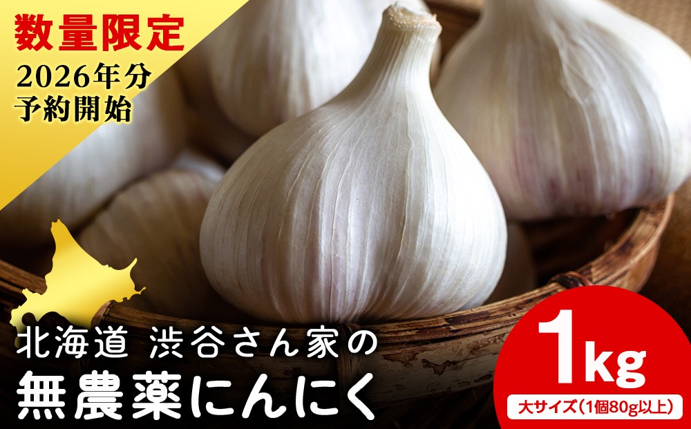 
            2026年分予約開始！【数量限定】渋谷さん家の★大★「無農薬 にんにく1kg」
          