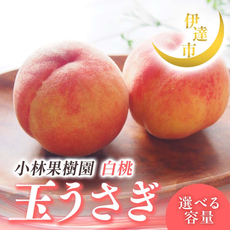 【ふるさと納税】2025年出荷分 先行予約 ≪容量が選べる≫ 福島県産 玉うさぎ 3kg 5kg 2025年9月上旬～2025年9月中旬発送 先行予約 予約 伊達の桃 伊達市 桃 もも モモ 果物 くだもの フルーツ 名産品 国産 食品 F21C-010var