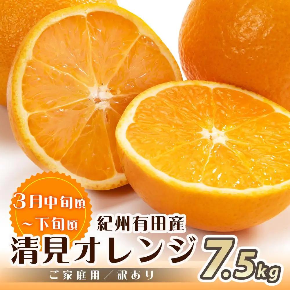 ［魚鶴商店厳選］和歌山人気の柑橘ご家庭用・訳あり定期便（みかん・不知火・清見オレンジ）［定期便全3回］［UT117］