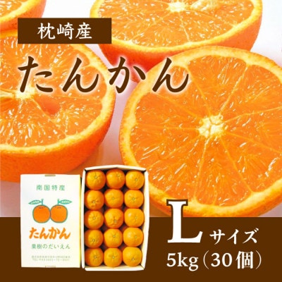 【Lサイズ】南国特産もぎたて たんかん 5kg【先行受付】2月下旬より順次発送 A8-121【配送不可地域：離島】【1466322】
