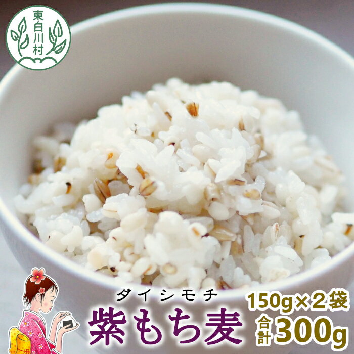 【ふるさと納税】東白川村産 紫もち麦 ダイシモチ お試し 300g 150g×2袋 食べきり もち麦 雑穀 麦 食物繊維 お米 こめ 精米 ご飯 おためし 2000円 2000円ポッキリ お買い物マラソン 買い回り スーパーセール