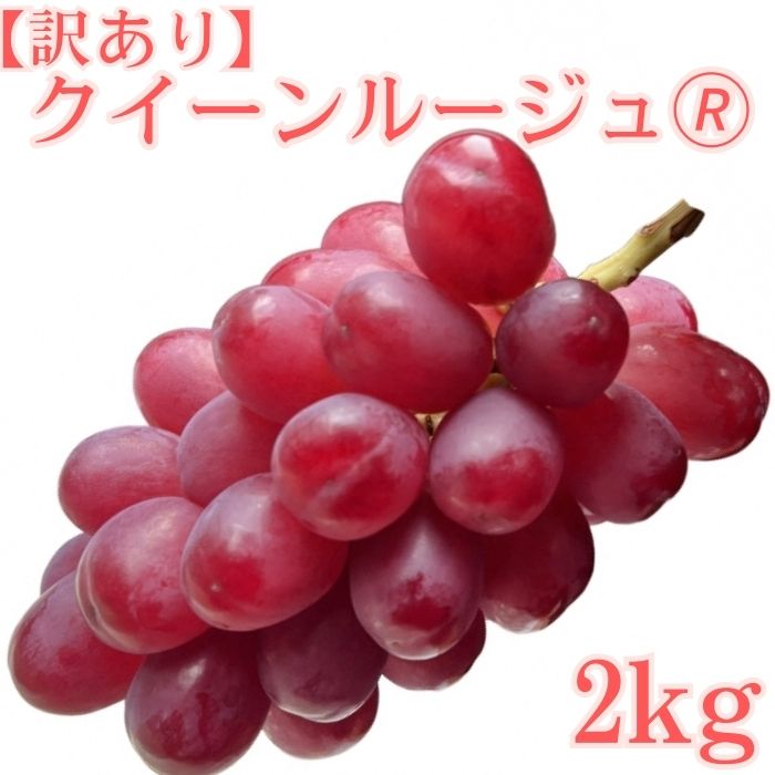 【ふるさと納税】【訳あり】クイーンルージュ(R)2kg＜2026年8月下旬より発送＞【配送不可地域：離島】