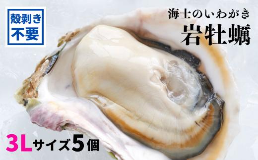 【殻剥き不要】海士のいわがき 殻なし巨大3Lサイズ×5個（1.6kg～2kg）