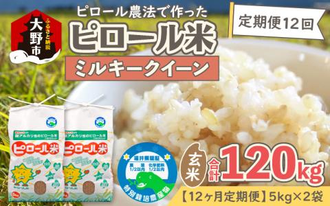 【令和5年産】【12ヶ月定期便】弱アルカリ性のピロール米 ミルキークイーン 玄米 10kg（5kg×2袋）×12回　 化学肥料5割以下・減農薬