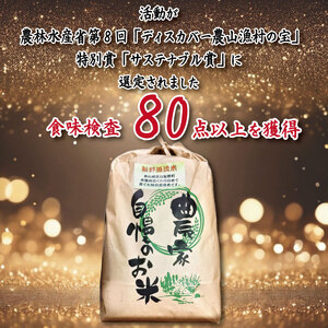 米 2kg お米 ご飯 コシヒカリ ヒノヒカリ に負けない こめ ご飯 ごはん おにぎり 白米 精米 精白米 卵かけご飯 うなぎ うな重 食品 備蓄 備蓄米 保存 防災 ギフト 贈答 プレゼント お取