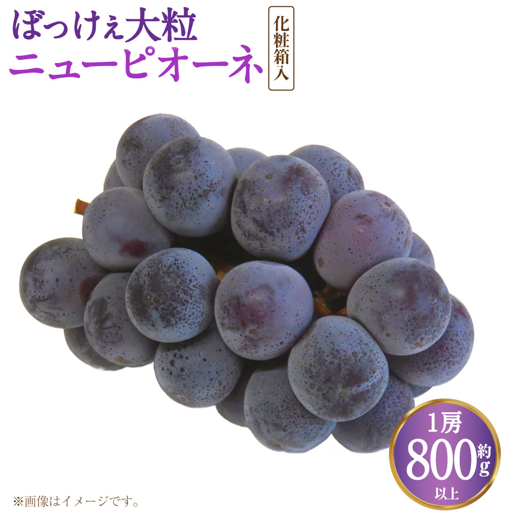 【ふるさと納税】ぼっけえ大粒 ニューピオーネ 1房（800g以上） 化粧箱入り 【2025年9月上旬～10月上旬迄発送予定】 ぶどう ブドウ 葡萄 ピオーネ 果物 くだもの フルーツ 冷蔵 国産 お取り寄せ 岡山県 奈義町 送料無料