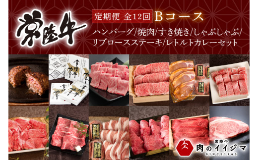  常陸牛 12ヶ月 定期便 Bコース 母の日 食べ物 肉 ハンバーグ 焼肉 すき焼き しゃぶしゃぶ リブロース ステーキ レトルトカレー ふるさと納税 定期便 ギフト対応（DU-112）