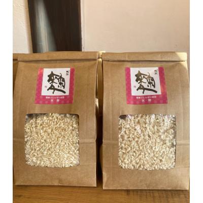 ふるさと納税 飛騨市 飛騨こうじ【米麹】:1kg　500g×2袋