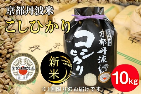 コシヒカリ 10kg 米 米 米 米 米 米