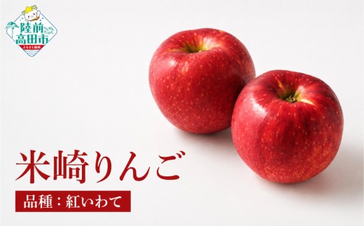 【先行予約】 旬のりんごをお届け！ 米崎りんご 品種：紅いわて 約2.5kg 【 数量限定 りんご リンゴ 林檎 産地直送 新鮮 岩手 陸前高田 マルキヨファーム 】 RT3406-2.5