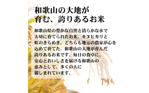  米 キヌヒカリ 2kg と 虹のきらめき 2kg 合計4kgセット (2025年産) 和歌山県産 / 白米 お米 ごはん こめ 単一米 単一原料米 銘柄米 令和7年産【hnj400-kn2-nj2