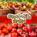 【ふるさと納税】長田農園しかできない夢の共演 個数限定 おすすめトマト 3種 食べ比べ ミニトマト トマト さくらんぼトマト フルーツジュエリーミニトマト トマトベリー プレミアムフルーツトマト 金賞 受賞 完全木熟 野菜 お取り寄せ 長田農園 愛知県 碧南市 送料無料