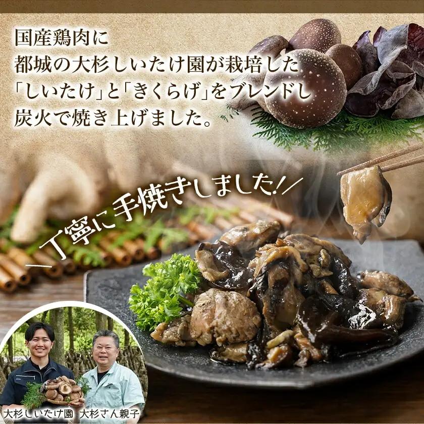 鶏ときのこ炭火焼き100g×2袋※ポスト投函≪みやこんじょ快速便≫〔LA-8701-R〕_(都城市) 国産鶏肉 炭火焼き しいたけ きくらげ 加工品 レトルト加工 おかず ポスト投函
