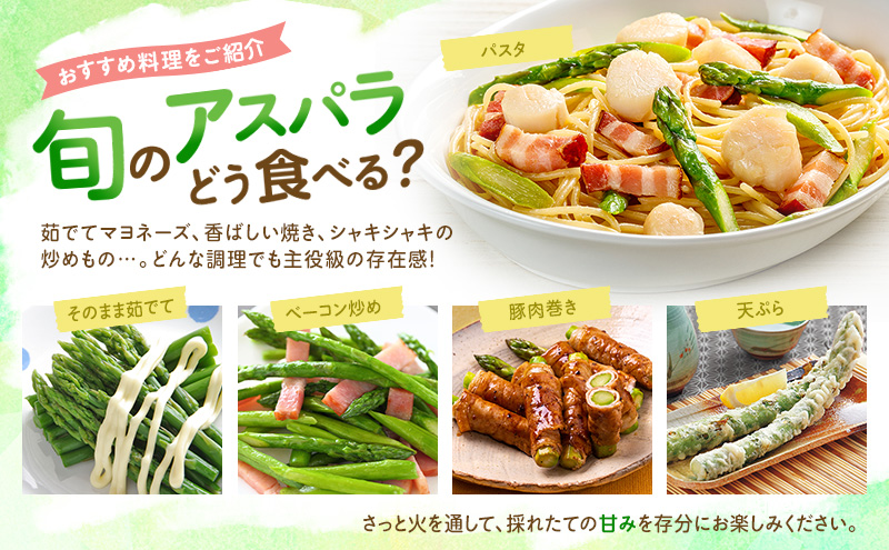 【2026年5月より発送】北海道 富良野市産 アスパラ 緑 約500g (15～23本前後) 朝どり 露地 グリーン アスパラガス 詰め合わせ 野菜 新鮮 数量限定 先着順【藏ファーム】