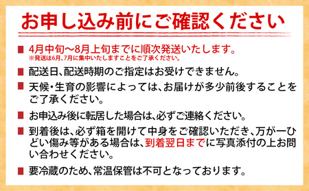 数量限定 日南市産 完熟 マンゴー 2L以上×4玉 フルーツ 果物 人気 国産 完熟マンゴー 食品 デザート 産地直送 送料無料_EA11-23