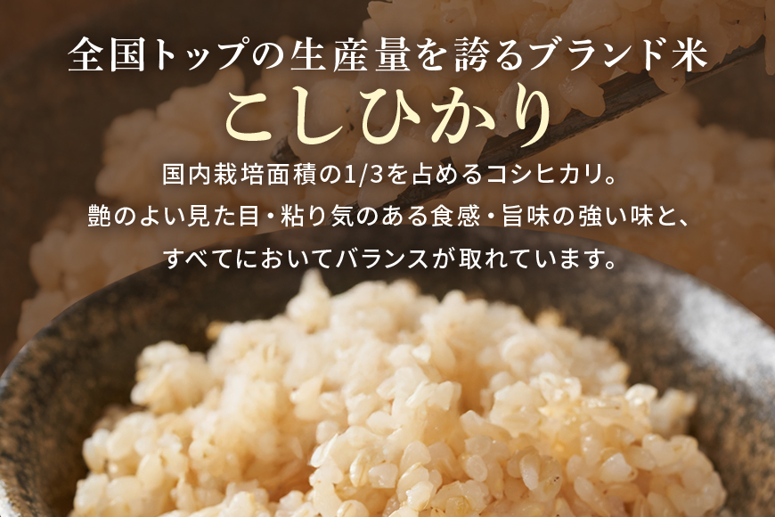 令和7年産新米 玄米 5kg 栽培期間中農薬不使用 こしひかり 茨城県産 米 お米 コメ ご飯 コシヒカリ 食味豊か 甘み 旨み 冷めても 美味しい お弁当 向け 食卓常備 産地直送 茨城県 潮来市 