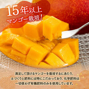 宮崎県産完熟マンゴー（果実の宝石）ドライマンゴー10袋 果物 マンゴー