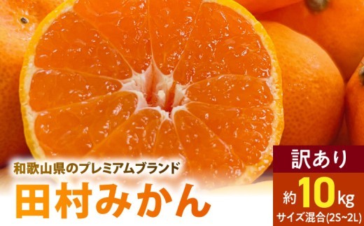 
                  【2026年先行予約】ご家庭用 田村みかん サイズ混合(2S～２L) 約10kg 有田みかん わけあり 訳あり 不揃い 和歌山プレミアムブランドみかん 小玉 中玉 大玉 蜜柑 ミカン フルーツ 果物_AB7300
                