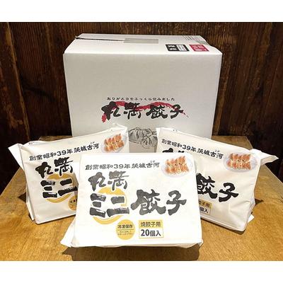 ふるさと納税 古河市 ミニ餃子三昧セット(M6)ミニ餃子3包み(6人前) | 餃子 焼餃子 ぎょうざ _CO15 |  | 01