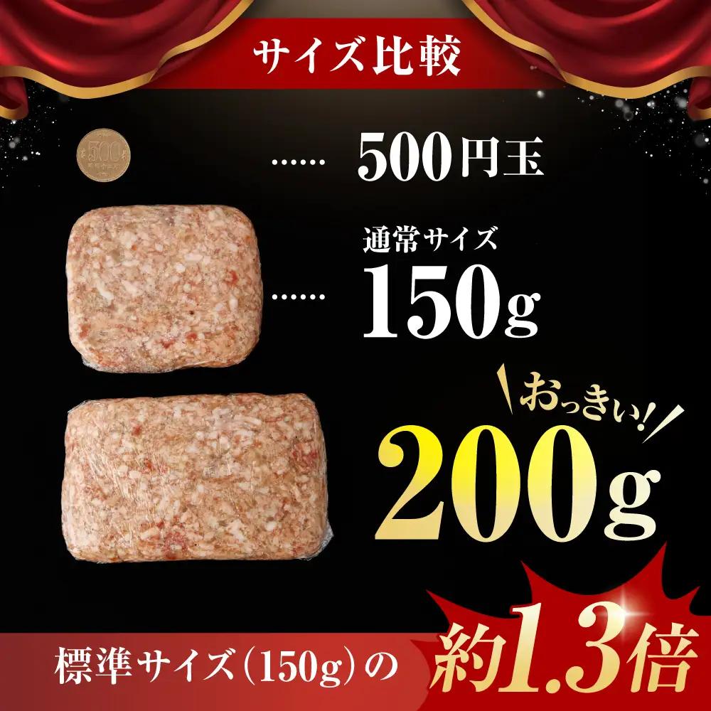 【最速発送】佐賀牛ハンバーグ 200g×5個 [HAS040]  牛肉 ハンバーグ