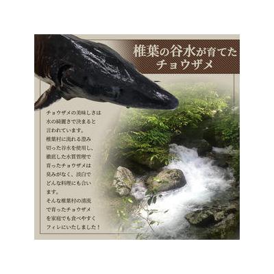 ふるさと納税 椎葉村 【宮崎県 椎葉産】キャビアフィッシュフィレ 1尾【800g〜1.2Kg】 チョウザメ フィレ肉 |  | 01
