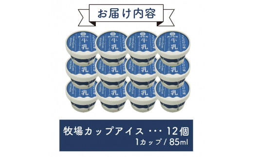 アイスクリーム カップアイス 12個 うちだけの味 武井牧場 自家製 アイス 牧場 牛乳 お土産 プレゼント ギフト 贈答 お取り寄せ スイーツ お菓子 デザート 静岡県 沼津市 母の日 父の日