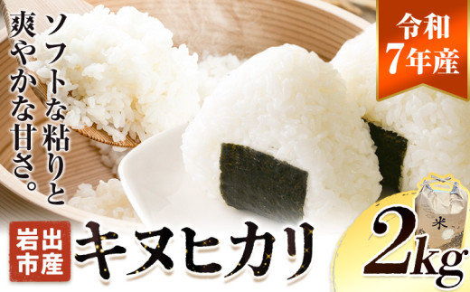 米 令和7年産 新米 無洗米 キヌヒカリ 約2kg 《2026年10月中旬‐1月中旬頃出荷》東農園 和歌山県 岩出市 米 こめ コメ きぬひかり 白米 送料無料