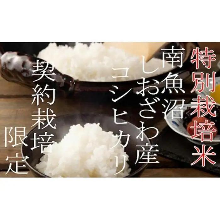 【令和7年産】【定期配送4Kg×6ヶ月】特別栽培 生産者限定  南魚沼しおざわ産コシヒカリ【定期便 銘柄米 ブランド米 精米 こしひかり コシヒカリ 魚沼産 新潟米 産地直送 お米 米 こめ コメ ご飯 御飯 ごはん】
