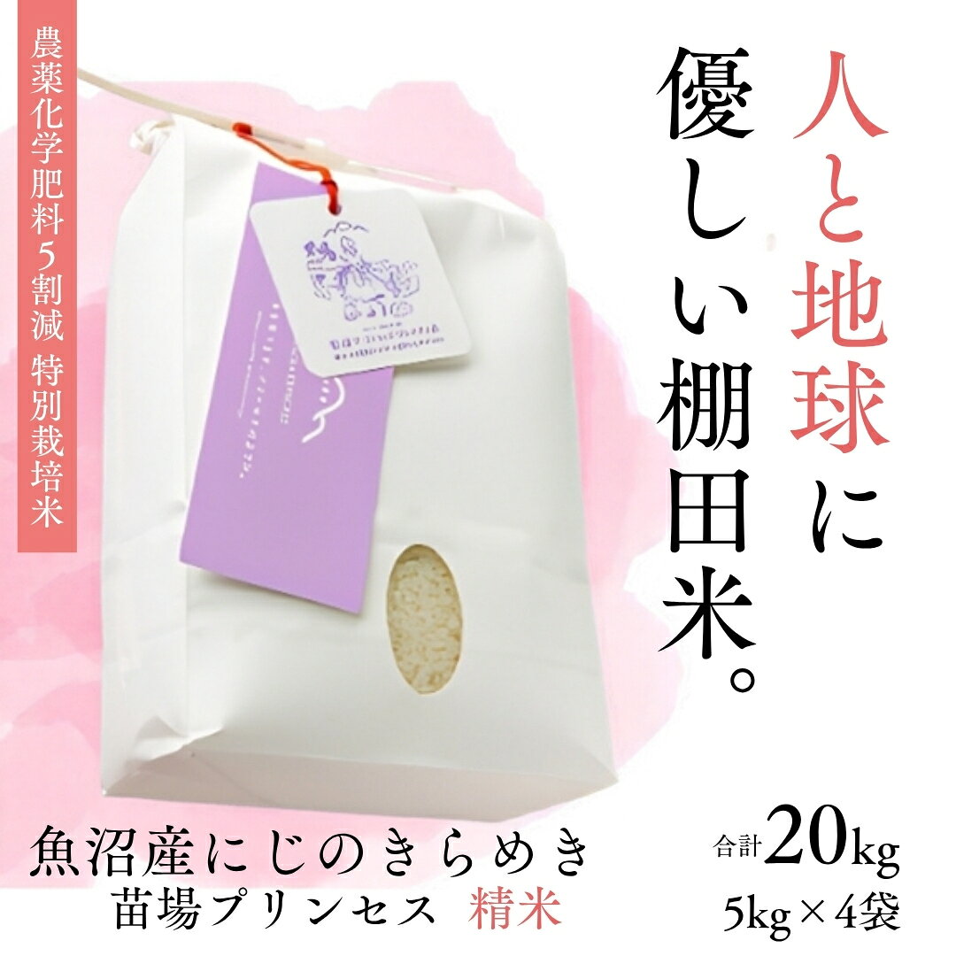 【ふるさと納税】【令和8年産先行予約】特別栽培米 にじのきらめき 精米 20kg(5kg×4袋) 選べる配送回数 1回-12回| 苗場プリンセス米 おすすめ 人気ギフト 新潟県 津南町