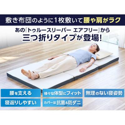 ふるさと納税 新城市 トゥルースリーパー　エアフリー　三つ折りタイプ(シングル) |  | 01