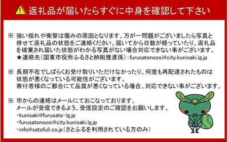 【先行予約】トンネルで貯蔵熟成/岸田果樹園の不知火 約3kg 令和8年2月下旬より出荷開始 _1439R