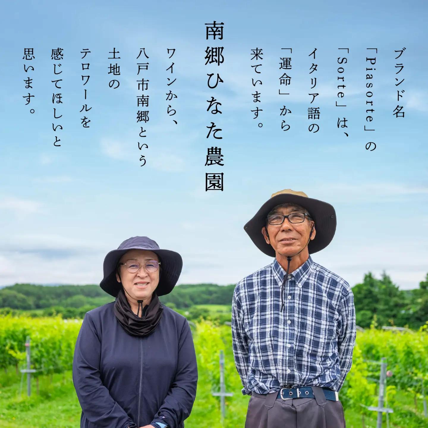南郷ひなた農園 日本ワイン ピアソルテ シャルドネ2023 750ml × 1本 青森県 八戸市