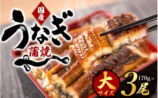 【大型サイズ】ふっくら柔らか 国産うなぎ蒲焼き 3尾/うなぎ ウナギ 鰻 うなぎ蒲焼 国産【uot303-3-oya】