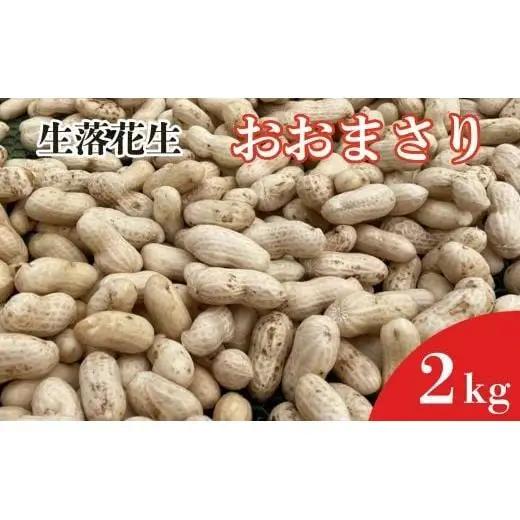 《先行予約》落花生　おおまさり　2kg ／ 落花生 らっかせい ラッカセイ おおまさり 生落花生 茹で落花生 2kg 産地直送 産直 送料無料