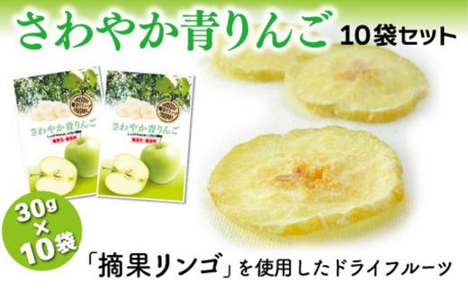 MZ02-25D 【ドライりんご】さわやか青りんご 30g×10袋 // 長野県 南信州 ドライフルーツ フードロス 食品ロス 自然のおやつ りんごのお菓子 お土産 青りんご