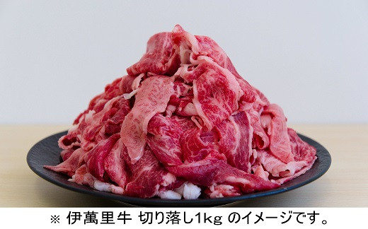 
            【直送 伊萬里牛】切り落し1kg(500g×2P)
          