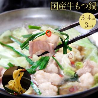 鶏家特選もつ鍋セット（３～４人前×３セット）